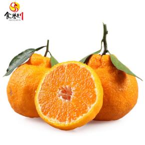 Chunjian sweet and watery tangerine